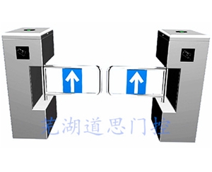 標準立式擺閘